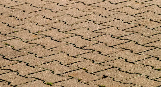 nettoyage paves terrasse